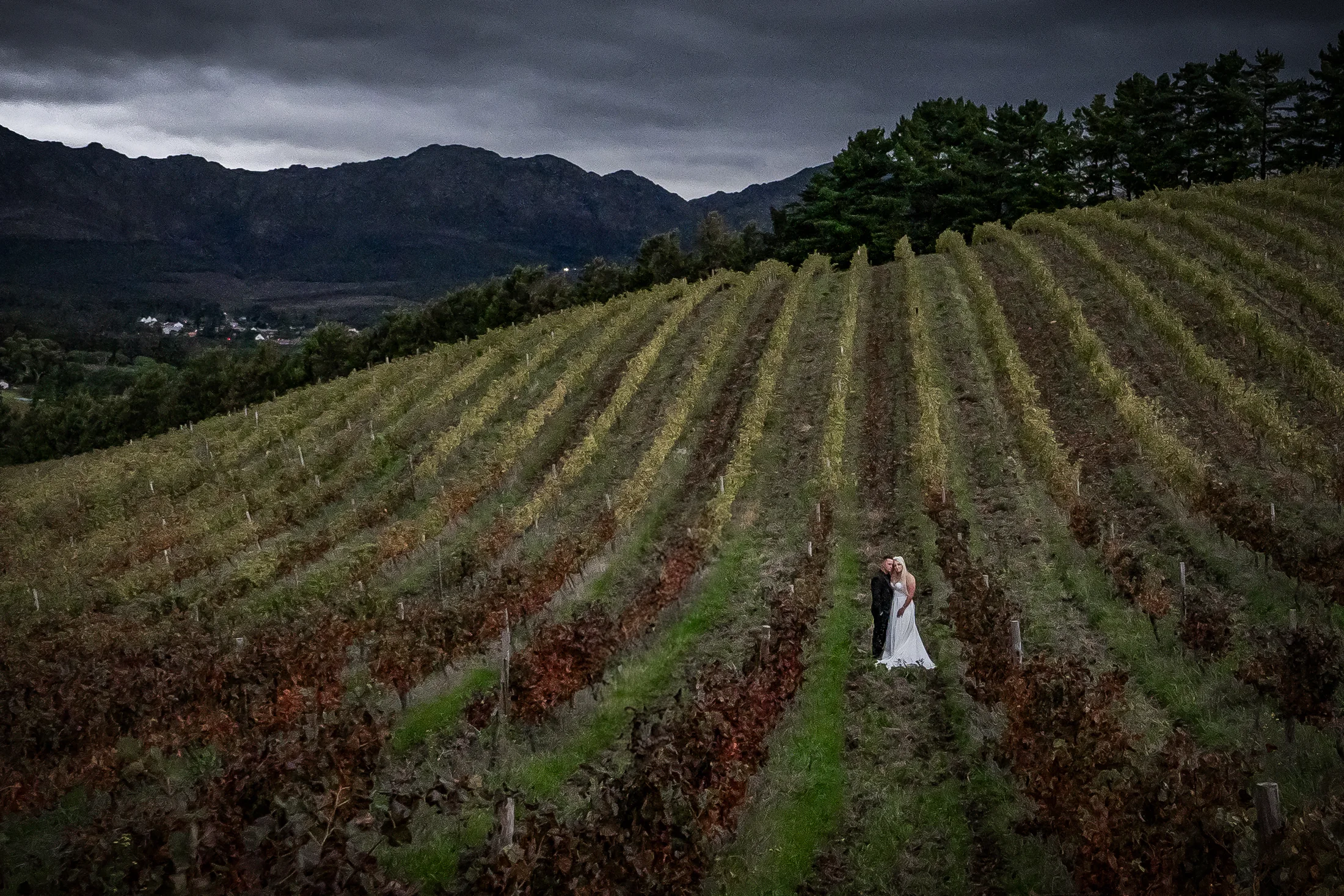 Kristoff & Mareli wedding at Highberry Wine Boutique — photograph 33