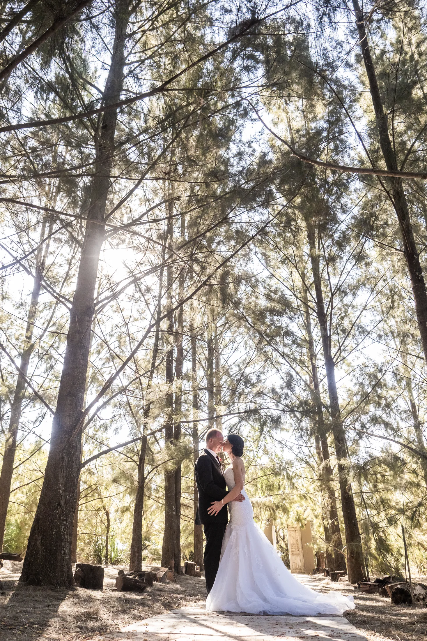 Billy and Karen beneath tall pine trees