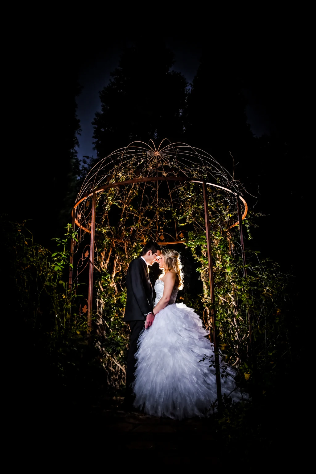Night portrait of Ettienne and Dorme beneath the garden arch